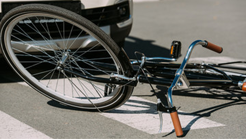 歩行者・自転車解析